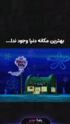 باب اسفنجی:(((( اوکی ولی کارتونش:/