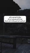 شما پیش کی خل و چل میشید؟؟؟؟؟..
