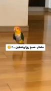 همچنان مامانم روزای جمعه وقتی خوابیدم😂😮‍💨