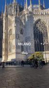Italy(Milan)🇮🇹 ‌ ‌
