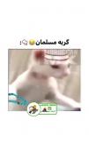 گوربای مسلمان نداشتیم که الان داریم😐