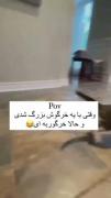 ههه خر گربه نظرم عوض شد الان دیگه خرگوربه میخوام😐😐🥺