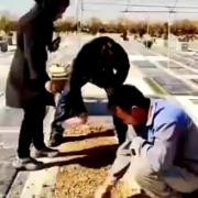 خاک توی اون سرت هَوَل بدبخت...😂🤣 