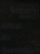 ::::::::::::::::🎵:::::::::::::::::