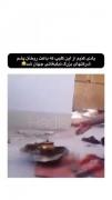  یادی کنیم از این کلیپ از وقتی به دنیا اومدم دارم بهش میخندم 😂🤣