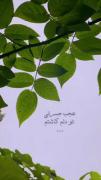 به هرجا رسیدم به عشق تو بود کنار تو هرچی بگی داشتم..