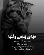 اینا سنگینی همون حرفاییه که نتونستی به کسی بزنی