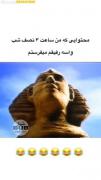 طنز_شتر_فرعون_صدا_کم_عالی_فالو