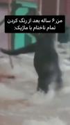 شما ها از این کارا کردید 😂........ 