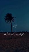 مرا محتاج این و ان کردی ملالی نیست!