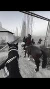Не падай духом شهامتت را از دست نده!