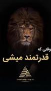 وقتی قدرت مند تر میشی.........
