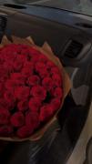 گل رز قرمز زیباترین گل برای هدیه دادن 