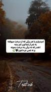  . ‹✨💚›
