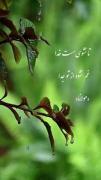 حرف حق ......................: