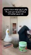 وای خداااا راستهههه🥲🥲‌‌‌‌‌‌‌‌