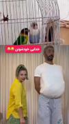 وای جررررر.... یکم بخندیم بیخیال غم دنیا... 