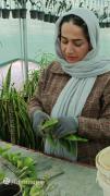 کل اینستا دیگه می خوام برینم بهشون