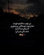 کوه به کوه نمیرسه ولی گوهی که پشتم میخوری به گوشم میرسه🤟🏻