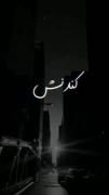 شرمنده اهل امید نیستم ㋛