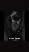 همه تورو میخواد...... 🥰😅.... 