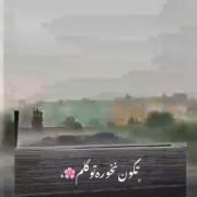 میمونم تا اخرش کنارت..... 🥰.! 
