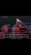 با دیدن این ۲۰ ثانیه شاید بتوانید مانع مرگ شخصی شوید