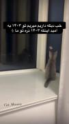 خب دیگ داریم میریم تو ۱۴۰۳ به امید اینکه 