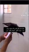 خاستم بگم کسی که بخاد پیام بده میده...🙂🚶‍♀️