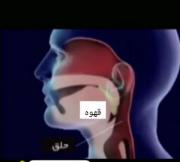 آیامیدانستید.............؟😂😂 