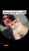 وقتی یه گربه میبینم؛‌‌‌‌‌‌‌‌‌‌