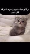وقتی میگه عزیزم کار دارم😂‌‌‌ 