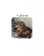 ایده باحال :> .
