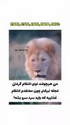 انتقام غذایی که باید سرد سرو شه