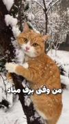 امسال چند بار برف دیدی؟ 🥲شمام اینجورین؟🥲😂💔
