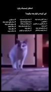 سلام‌انابل‌منم‌پار‌اور🗿👌🏻‌‌‌‌‌‌‌ 