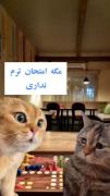 وضعیت من چند وقته اینه واقعا 🤣😎