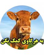 اینم از ویدیو نصیحت آمیز امروز 