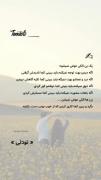  به جو بازآمد آبِ رفته؛ ماهی مرده بود اما...🖤