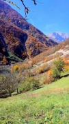 عاشقی آسون نیست بلای جونه.......