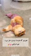 جوری که دوست پسرم منو میبینه:😂💗