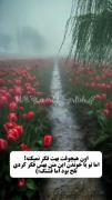 دنیا مثل ی دریاس این همه ماهی داره ولی من به فکر اونم..🥀