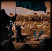 زینب ( س ) من مُدافع حرم باش ‍