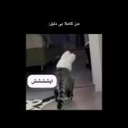 موووود🤣🥹✨️‌‌‌‌‌‌‌‌‌‌‌‌‌‌‌‌‌‌‌‌