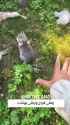 وای قلبمم‌‌‌‌‌‌‌‌‌‌‌‌‌‌‌‌‌‌‌‌‌‌‌