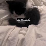 ‌‌‌‌‌‌‌‌‌‌‌‌‌‌‌‌‌‌‌‌‌‌‌‌‌‌‌از ته دل ناراحتم:‌)‌‌ 