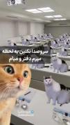 وای حق‌‌‌‌‌‌‌‌‌‌‌‌‌‌‌‌‌‌‌‌‌‌‌‌‌‌
