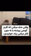 وقتی فکر میکنی زیاد خوابیدی: 