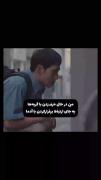 درحال حرف زدن با گربه ها…. 