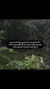 ‌‌‌‌‌‌‌‌چه قشنگ‌‌‌‌‌‌‌‌‌‌‌‌‌‌‌>>